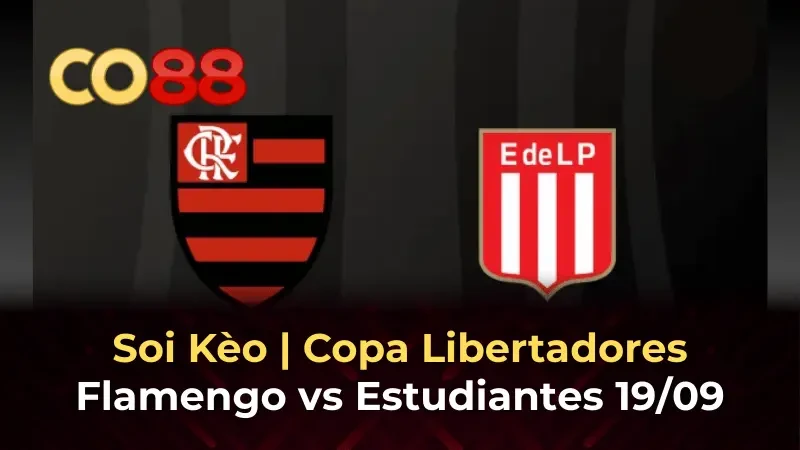 CO88 Nhận định Flamengo vs Estudiantes 19/9 - Chiến thắng tại Maracana