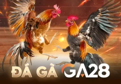 CO88 Đá Gà GA28