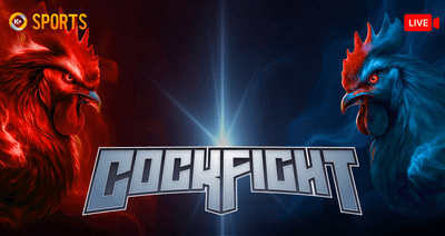 CO88  Đá Gà K-Sports