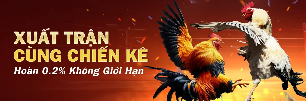 CO88 Đặt Cược Đá Gà, Nhận Hoàn Trả 0.2%