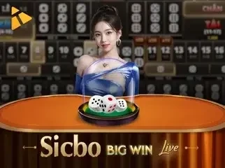 CO88 Sicbo BigWin