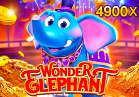 CO88 Wonder Elephant