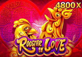 CO88 Rooster In Love